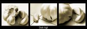 Nome File=dett-Agli2web.jpg
Peso File=91KB
Dimensioni=700x234
Data inserimento=Apr 09, 2008 dett-Agli2web.jpg
