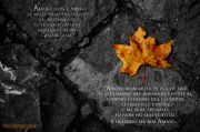 ΠΠΌΠ΅ : L_ultima-foglia.jpg
ΠΠΎΠ»Π΅ΠΌΠΈΠ½Π° : 295KB
Π Π°Π·ΠΌΠ΅ΡΠΈ : 800x533
ΠΠ°ΡΠ° Π½Π° Π΄ΠΎΠ±Π°Π²ΡΠ½Π΅ : ΠΎΠΊΡΠΎΠΌΠ²ΡΠΈ 20 2008 L_ultima-foglia.jpg