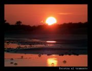 socotra-al-tramonto.jpg