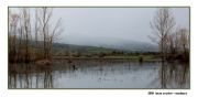 Nome File=Lago_Gurrida.jpg
Peso File=263KB
Dimensioni=800x393
Data inserimento=Apr 04, 2009 Lago_Gurrida.jpg