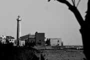 Nome File=la_terra_di_Montalbano.jpg
Peso File=223KB
Dimensioni=800x537
Data inserimento=Ago 16, 2010 la_terra_di_Montalbano.jpg