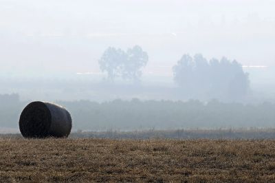 Кликни за целосна големина на сликата