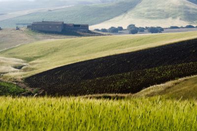 Cliquez pour voir l'image en taille réelle