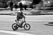 _MG_7786-2.jpg