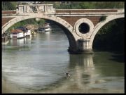 un_ponte_sul_Tevere.jpg