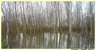 Clicca per l'immagine full size