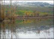 Nome File=Lago-Gurrida.jpg
Peso File=86KB
Dimensioni=800x577
Data inserimento=Mar 28, 2009 Lago-Gurrida.jpg