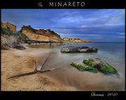 DSC_1205quad2.jpg