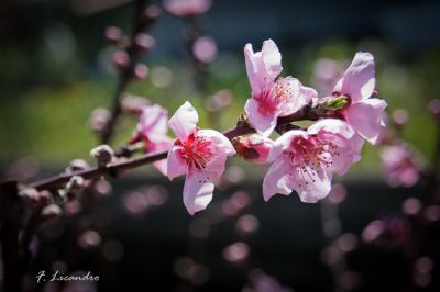 클릭하여 원래 크기로 보기