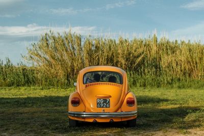 Cliquez pour voir l'image en taille réelle