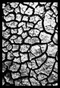 Nome File=seasons_-_estate_SMALL.jpg
Peso File=285KB
Dimensioni=547x800
Data inserimento=Gen 13, 2011 seasons_-_estate_SMALL.jpg