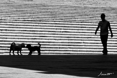 Clicca per l'immagine full size