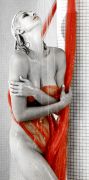 red_Stana_20x40.jpg