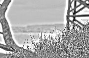 IMG_3191acaf~0.gif
