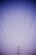 20111012_20111012_7801_Bolle_IV_GLA0276.jpg