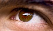 Filnamn: S_Eye.jpg
Filstorlek: 258KB
Dimensioner: 800x474
Tillagd den: 13 apr 2012 S_Eye.jpg