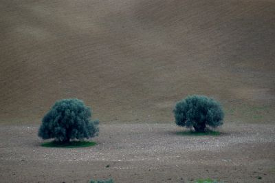 Κάντε κλικ για να δείτε την εικόνα σε πλήρες μέγεθος