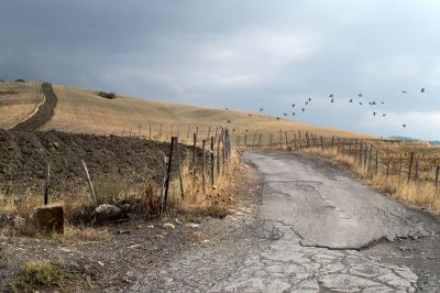 Cliqueu aquí per veure la imatge a la mida màxima